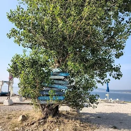 Nena In * Crikvenica